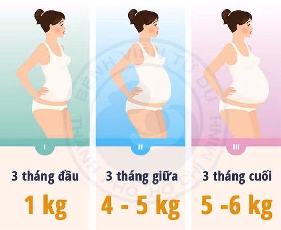 Với tình trạng dinh dưỡng bình thường (BMI: 18,5 – 24,9) mức tăng cân của người mẹ trong thai kỳ nên đạt là 10 – 12 kg