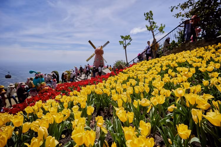 Núi Bà Đen thu hút du khách với sắc hoa rực rỡ