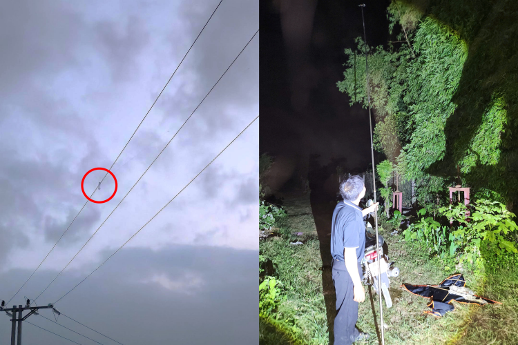 Vị trí dây diều vướng vào đường dây điện và đoạn kim loại các em học sinh dùng gỡ dây diều tại thôn An Mỹ, xã Thượng Vực, huyện Chương Mỹ Vị trí dây diều vướng vào đường dây điện và đoạn kim loại các em học sinh dùng gỡ dây diều tại thôn An Mỹ, xã Thượng Vực, huyện Chương Mỹ