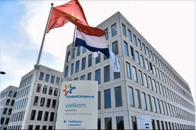 Cô Gái Hà Lan (Tập đoàn FrieslandCampina) là một minh chứng cho thấy nỗ lực đáng nể để thăng hạng của các “ông lớn” toàn cầu.