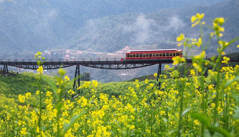 Tàu hoả leo núi Mường Hoa Tàu hoả leo núi Mường Hoa