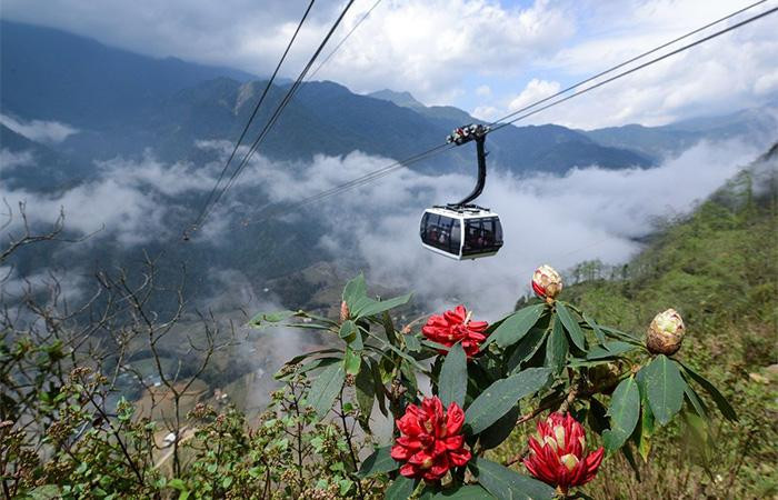 Cáp treo Fansipan Cáp treo Fansipan