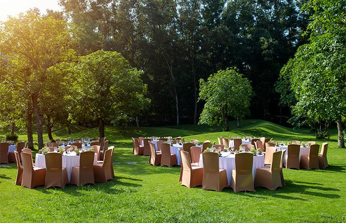 Tổ chức tiệc ngoài trời bên hồ, trên triền cỏ xanh hoặc dưới rừng thông là lựa chọn được nhiều doanh nghiệp trẻ yêu thích