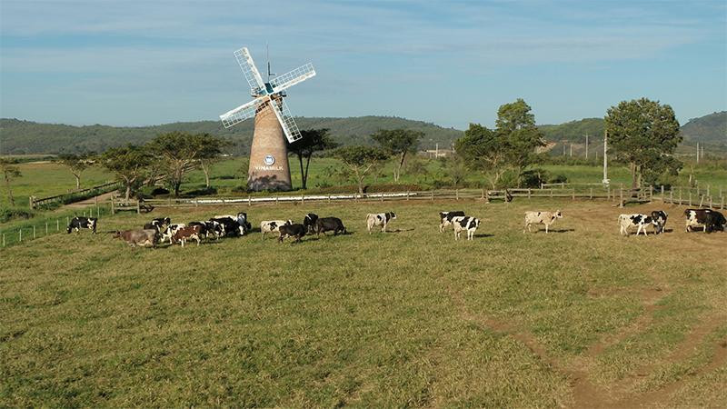 Các hoạt động thực hành ESG luôn được Vinamilk chú trọng trong chiến lược sản xuất kinh doanh