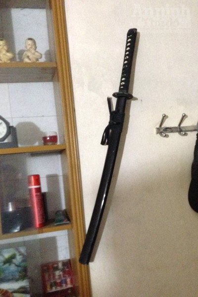 Gã cuồng dâm lột truồng thiếu nữ, hiếp dâm 5 lần/đêm ảnh 3