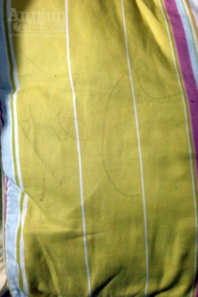 Gã cuồng dâm lột truồng thiếu nữ, hiếp dâm 5 lần/đêm ảnh 4