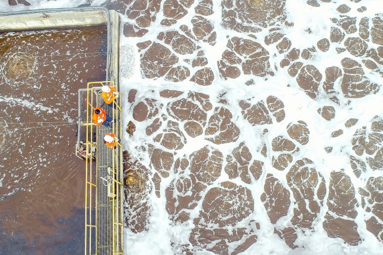 Tất cả nước thải từ các nhà máy của Masan tại các tỉnh đều đạt tiêu chuẩn loại A