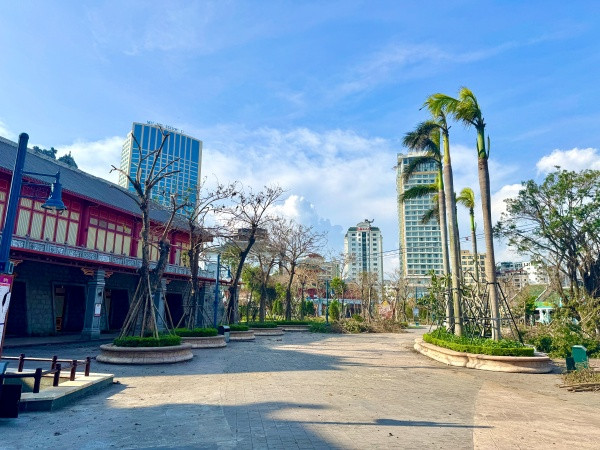 Cây cối dựng lại tại Sun World Ha Long Cây cối dựng lại tại Sun World Ha Long