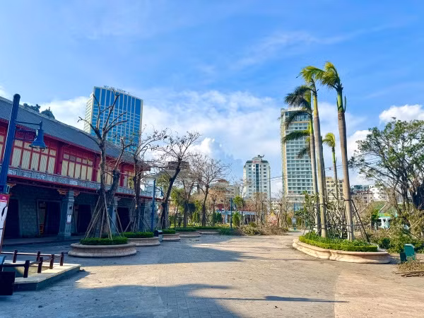Cây cối dựng lại tại Sun World Ha Long