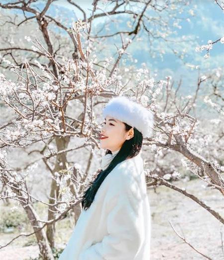 Lạc giữa thiên đường hoa mận trắng (Ảnh: thuyanhnguyenx)