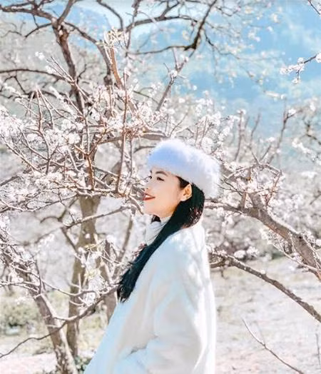 Lạc giữa thiên đường hoa mận trắng (Ảnh: thuyanhnguyenx)