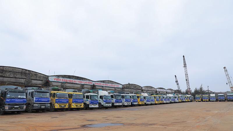 Ðoàn xe xếp hàng ngay ngắn chờ đón bò từ cảng Cửa Lò