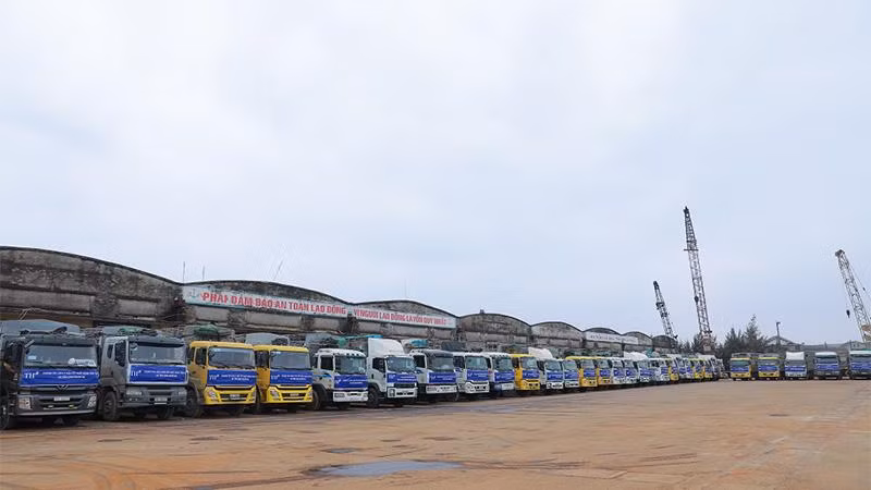 Ðoàn xe xếp hàng ngay ngắn chờ đón bò từ cảng Cửa Lò