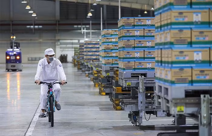 Họat động sản xuất của nhà máy do máy móc thực hiện với trình độ tự động hoá cao, con người chủ yếu đóng vai trò vận hành hệ thống điều khiển và kiểm tra giám sát