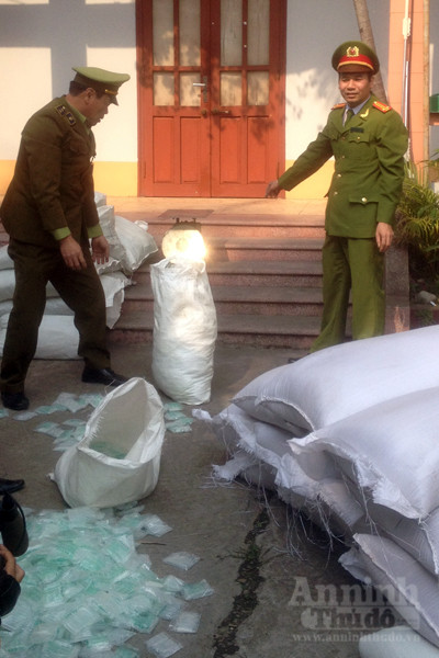 Vừa phát hiện lượng hóa chất “siêu khủng” kích thích giá đỗ ảnh 5