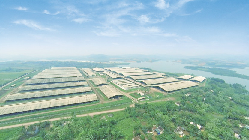 Cụm trang trại chăn nuôi bò sữa tập trung ứng dụng công nghệ cao với quy trình sản xuất khép kín của TH đã xác lập kỷ lục lớn nhất thế giới (năm 2020). Cụm trang trại chăn nuôi bò sữa tập trung ứng dụng công nghệ cao với quy trình sản xuất khép kín của TH đã xác lập kỷ lục lớn nhất thế giới (năm 2020).