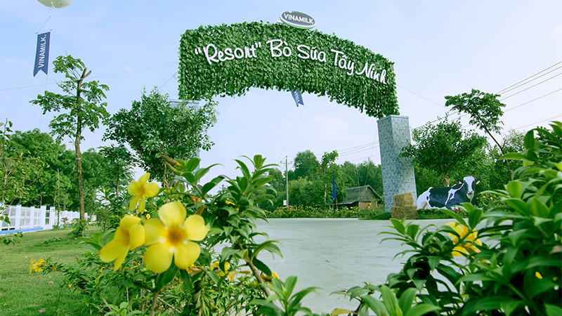 Không chỉ gây ấn tượng với quy mô lớn và sự hiện đại, trang trại của Vinamilk tại Tây Ninh còn được biết đến với không gian xanh mát, lý tưởng như “resort”