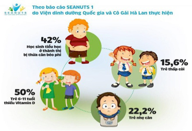 Tại Việt Nam, nghiên cứu SEANUTs thực hiện bởi sự phối hợp của Viện Dinh dưỡng quốc gia