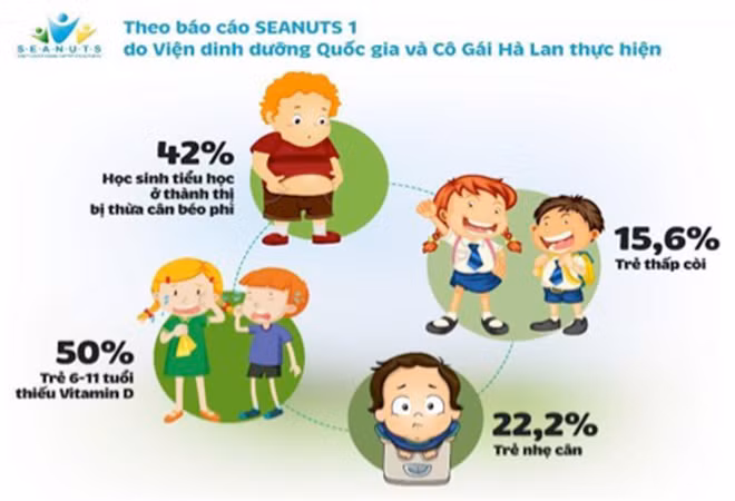 Tại Việt Nam, nghiên cứu SEANUTs thực hiện bởi sự phối hợp của Viện Dinh dưỡng quốc gia