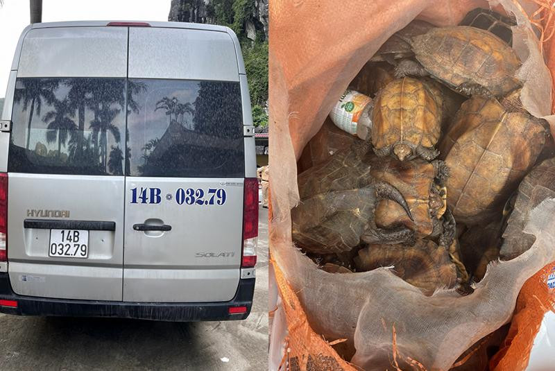 Tang vật liên quan đến vụ việc