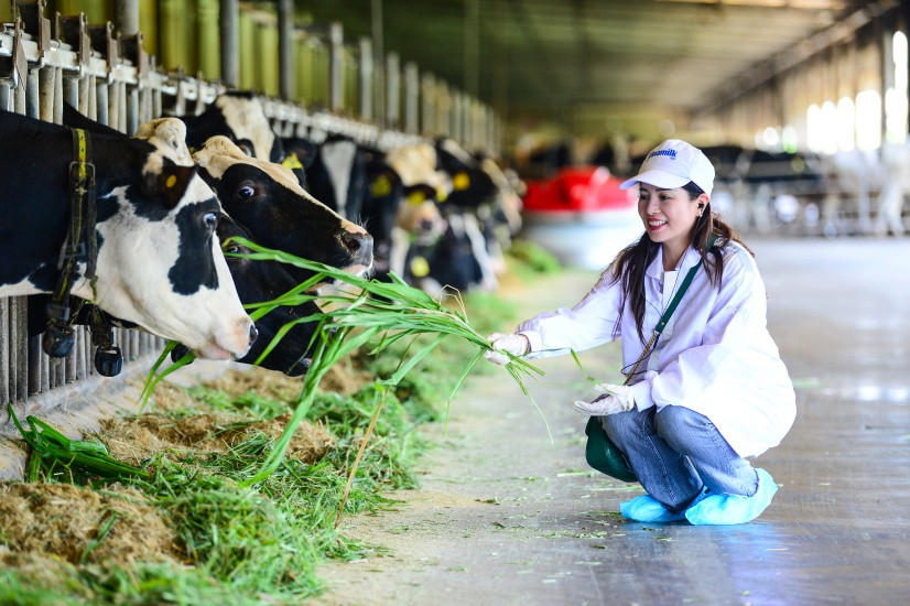 Ảnh: Quang Định