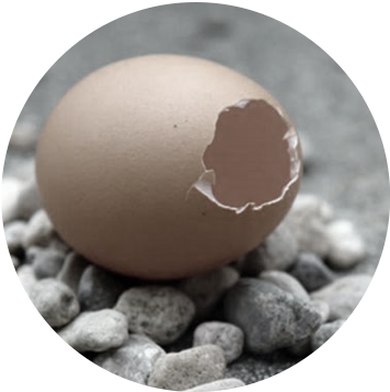 Nếu thu nhỏ nhà hát Opera Hà Nội bằng một quả trứng, thì mái vòm này còn mỏng hơn cả vỏ trứng