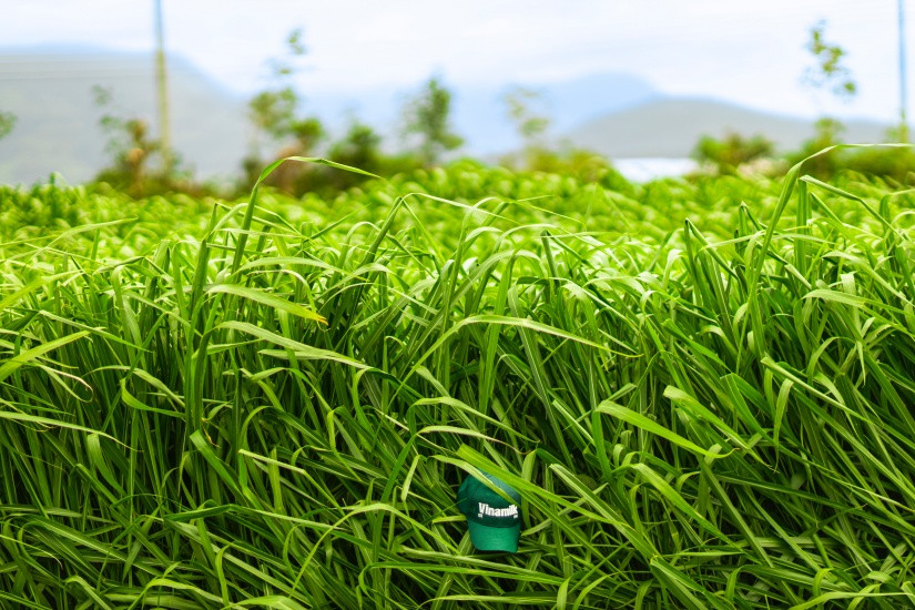 Ảnh: Quang Định