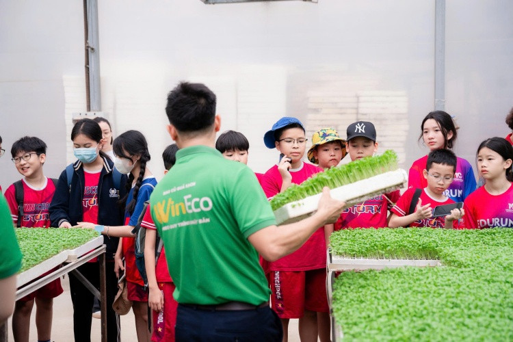 Các em học sinh tham quan nông trại WinEco Các em học sinh tham quan nông trại WinEco