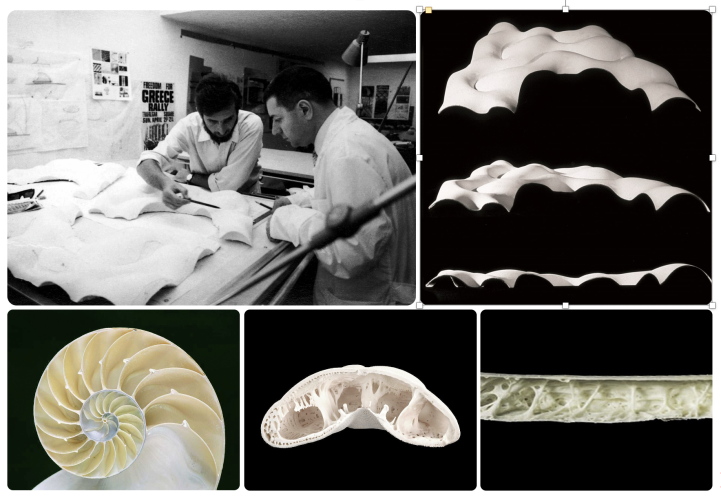 Kết cấu vỏ mái sử dụng các công nghệ số tiên tiến nhất