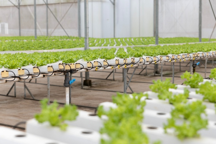 WinEco ứng dụng công nghệ, đảm bảo chất lượng sản phẩm WinEco ứng dụng công nghệ, đảm bảo chất lượng sản phẩm