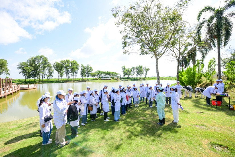 Ảnh: Quang Định