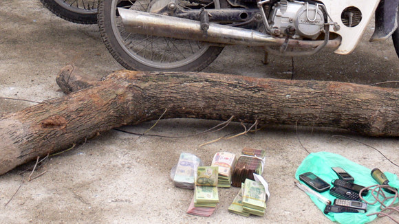 Gốc sưa đỏ bị cắt trộm cùng tang vật vụ án