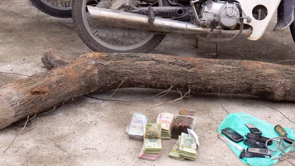 Gốc sưa đỏ bị cắt trộm cùng tang vật vụ án