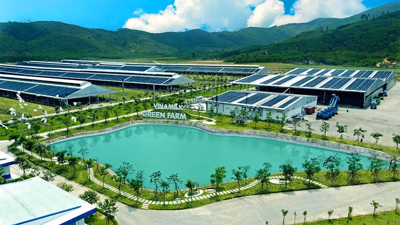 Trang trại sinh thái Vinamilk Green Farm – mô hình mới được Vinamilk ra mắt năm 2021