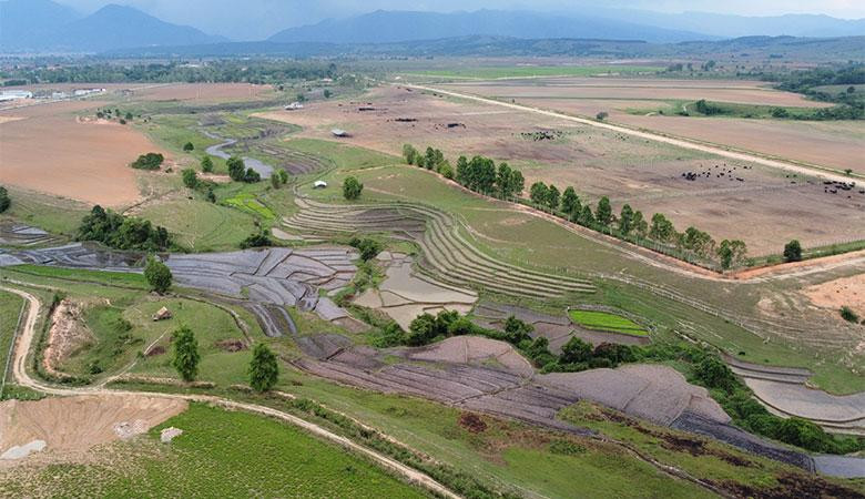 Cao nguyên Xiêng Khoảng có lợi thế lớn về quỹ đất, khí hậu phù hợp với chăn nuôi bò sữa Cao nguyên Xiêng Khoảng có lợi thế lớn về quỹ đất, khí hậu phù hợp với chăn nuôi bò sữa
