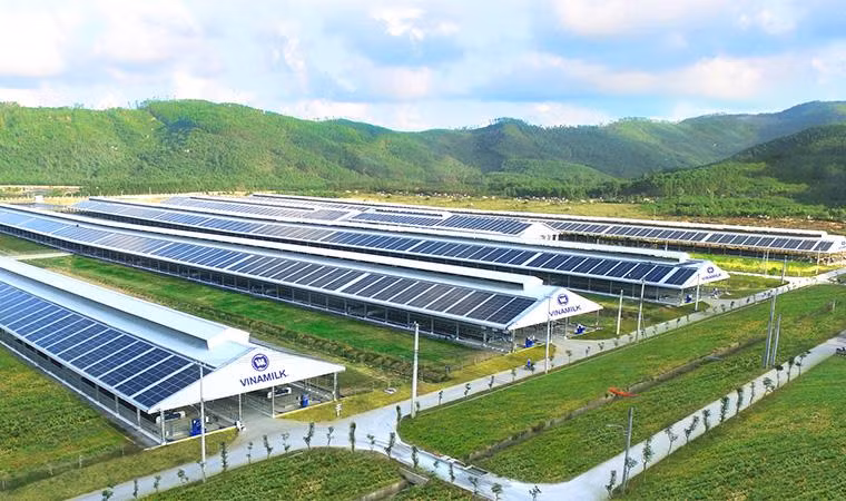 Hệ thống trang trại Vinamilk Green Farm (tại Quảng Ngãi, Tây Ninh, Thanh Hóa) sẽ được công ty đầu tư phát triển trong thời gian tới. Hệ thống trang trại Vinamilk Green Farm (tại Quảng Ngãi, Tây Ninh, Thanh Hóa) sẽ được công ty đầu tư phát triển trong thời gian tới.