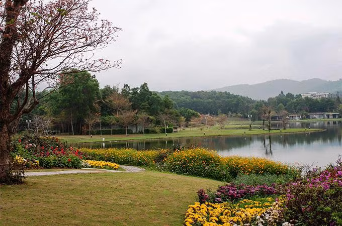Góc nhìn tiên cảnh bên hồ Đại Lải làm đắm say mọi tâm hồn