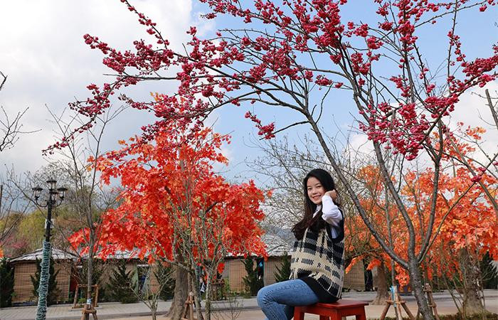 Ngất ngây trong sắc hồng của anh đào Himalaya, anh đào Nhật Bản và đào rừng Hoàng Liên Sơn, và đắm chìm giữa khung cảnh lung linh, rực rỡ của muôn loài hoa xuân Tây Bắc và những đại cảnh, tiểu cảnh kết tạo bằng hoa tuyệt đẹp, du xuân Sun World Fansipan Legend là ôm trọn cả một trời xuân rực rỡ vào lòng.