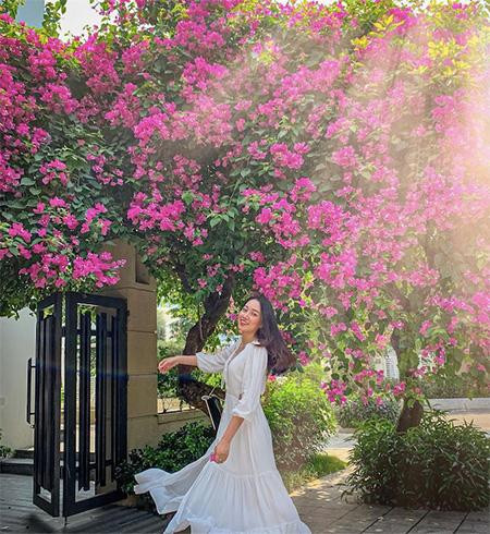 Giàn hoa giấy tím ngắt hút mắt tại FLC Sầm Sơn (Ảnh: kimm.vuu) Giàn hoa giấy tím ngắt hút mắt tại FLC Sầm Sơn (Ảnh: kimm.vuu)