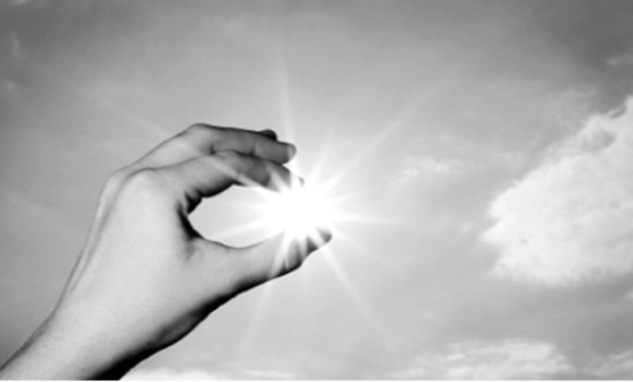 Những “kẻ trộm” bất ngờ ảnh 1