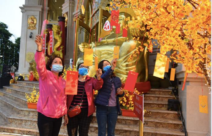 Khách tham dự “Ngày hội vàng” thích thú hái lộc may mắn bên cây Mai vàng