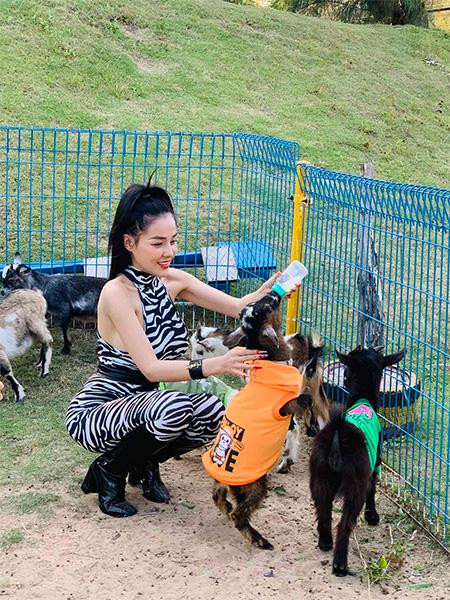 Chơi đùa, cho động vật ăn… là những trải nghiệm không thể bỏ lỡ tại công viên Safari (Ảnh: FLC Zoo Safari Quy Nhon) Chơi đùa, cho động vật ăn… là những trải nghiệm không thể bỏ lỡ tại công viên Safari (Ảnh: FLC Zoo Safari Quy Nhon)