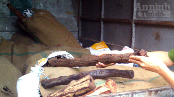 Dân buôn mua “nhầm” gỗ sưa... giả ảnh 6 Dân buôn mua “nhầm” gỗ sưa... giả ảnh 6