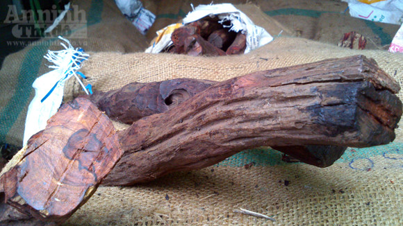 Dân buôn mua “nhầm” gỗ sưa... giả ảnh 3 Dân buôn mua “nhầm” gỗ sưa... giả ảnh 3