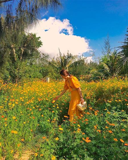 Ảnh: @mymeolazy Ảnh: @mymeolazy