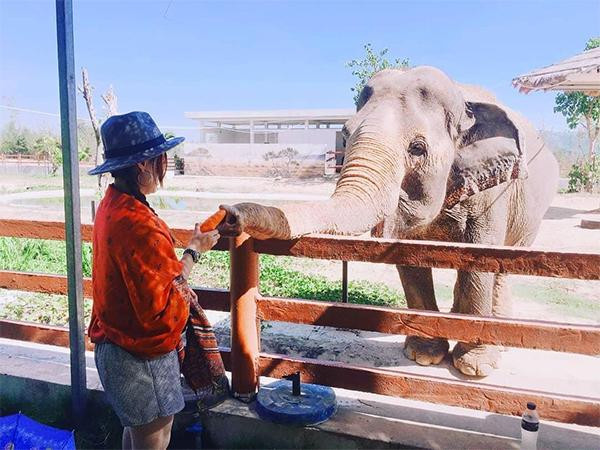 Ảnh: @canary_nhogrock Ảnh: @canary_nhogrock