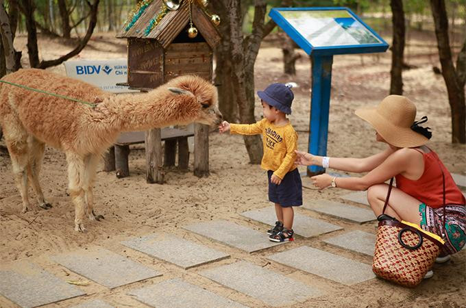 Ảnh: FLC Zoo Safari Park Quy Nhon Ảnh: FLC Zoo Safari Park Quy Nhon
