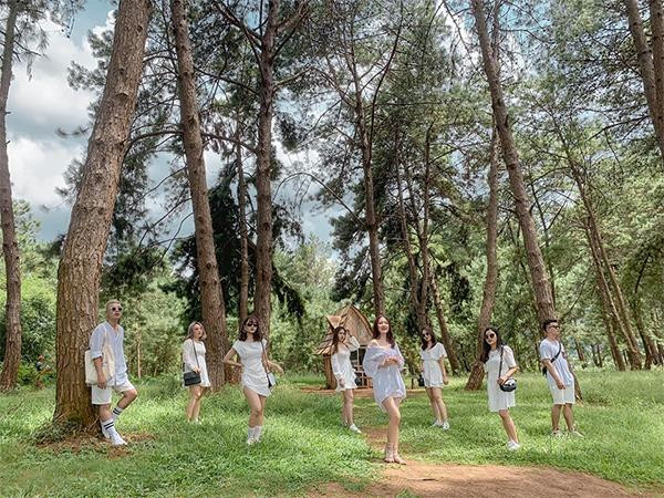 Du khách thích thú check-in trong rừng thông Ba Vì. Du khách thích thú check-in trong rừng thông Ba Vì.