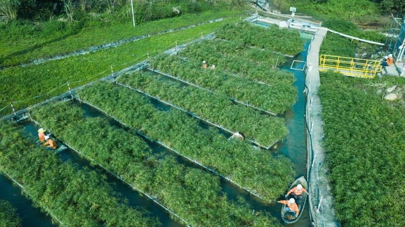 Tuân thủ các quy định bảo vệ môi trường, gần 80% tỷ lệ nước được tái sử dụng tại Masan High-Tech Materials. Tuân thủ các quy định bảo vệ môi trường, gần 80% tỷ lệ nước được tái sử dụng tại Masan High-Tech Materials.