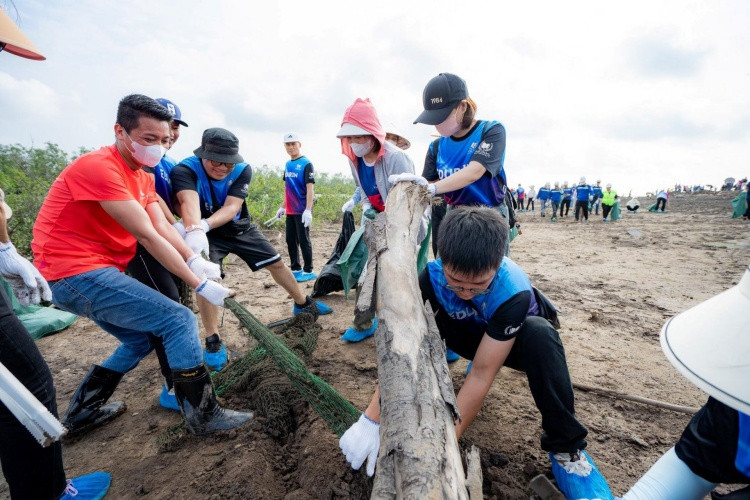 Tại các cửa sông, lượng rác thải là lưới đánh cá hỏng và phao nhựa cũ chiếm tỷ lệ cao.